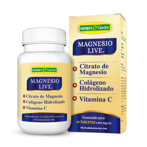 Magnesio live